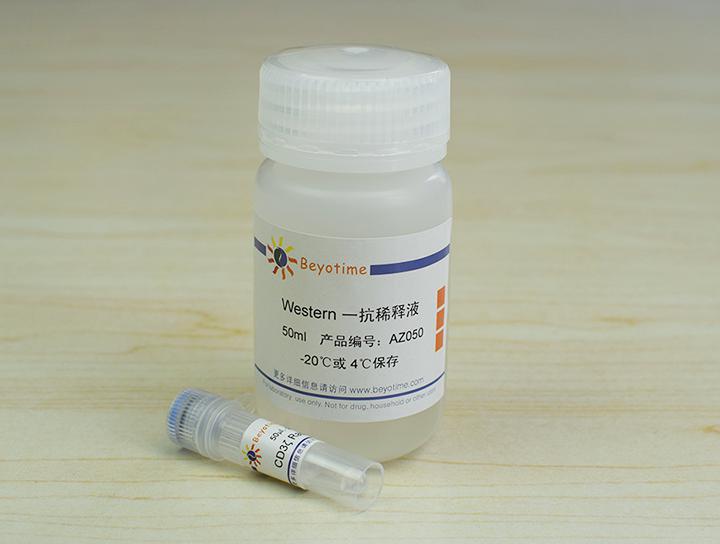 CD3ζ Rabbit Polyclonal Antibody